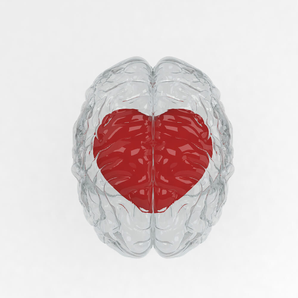 red-heart-inside-glass-brain-3d-illustration-PFX3LHE